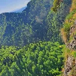 Dziewiecsil