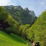 Dziewiecsil