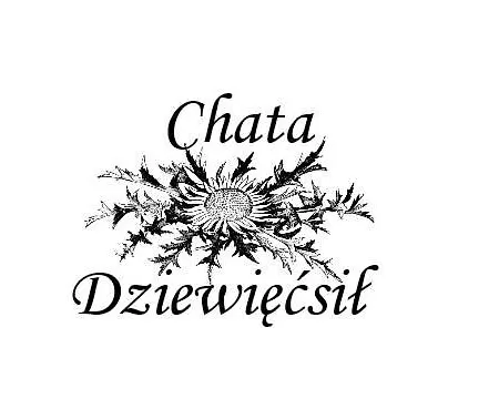 Dziewiecsil Lejlighed *