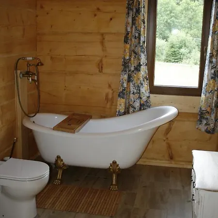 Dziewiecsil Lejlighed *