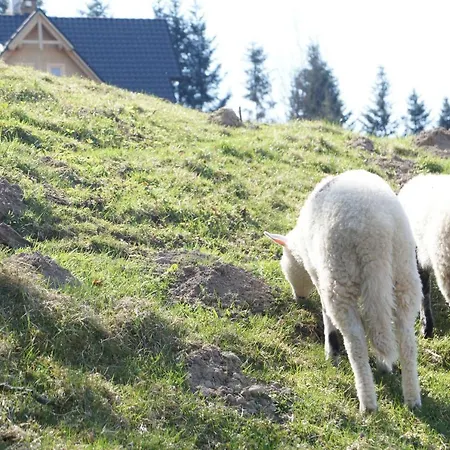Dziewiecsil Lejlighed Tylmanowa