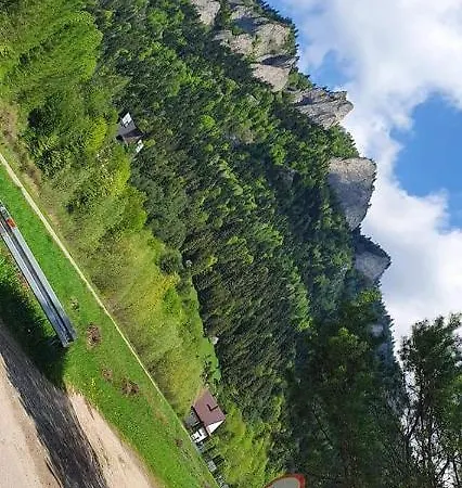 Dziewiecsil Tylmanowa