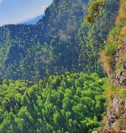 Dziewiecsil