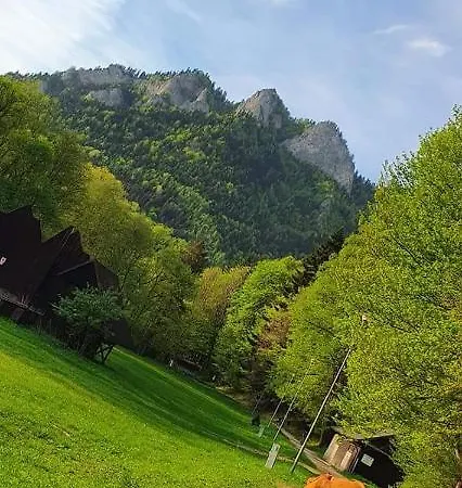 Dziewiecsil