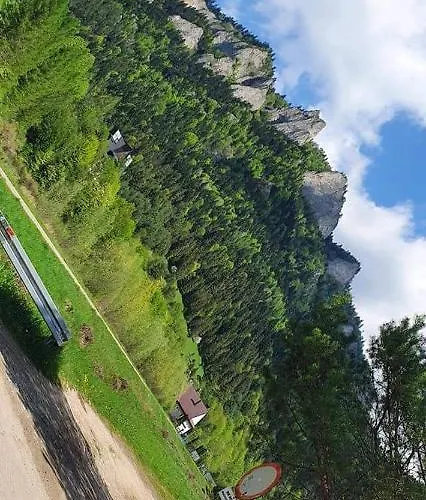 Dziewiecsil Tylmanowa